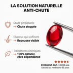 Pépins de Courge Softgels — Anti-DHT Naturel