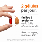 Pépins de Courge Softgels — Anti-DHT Naturel