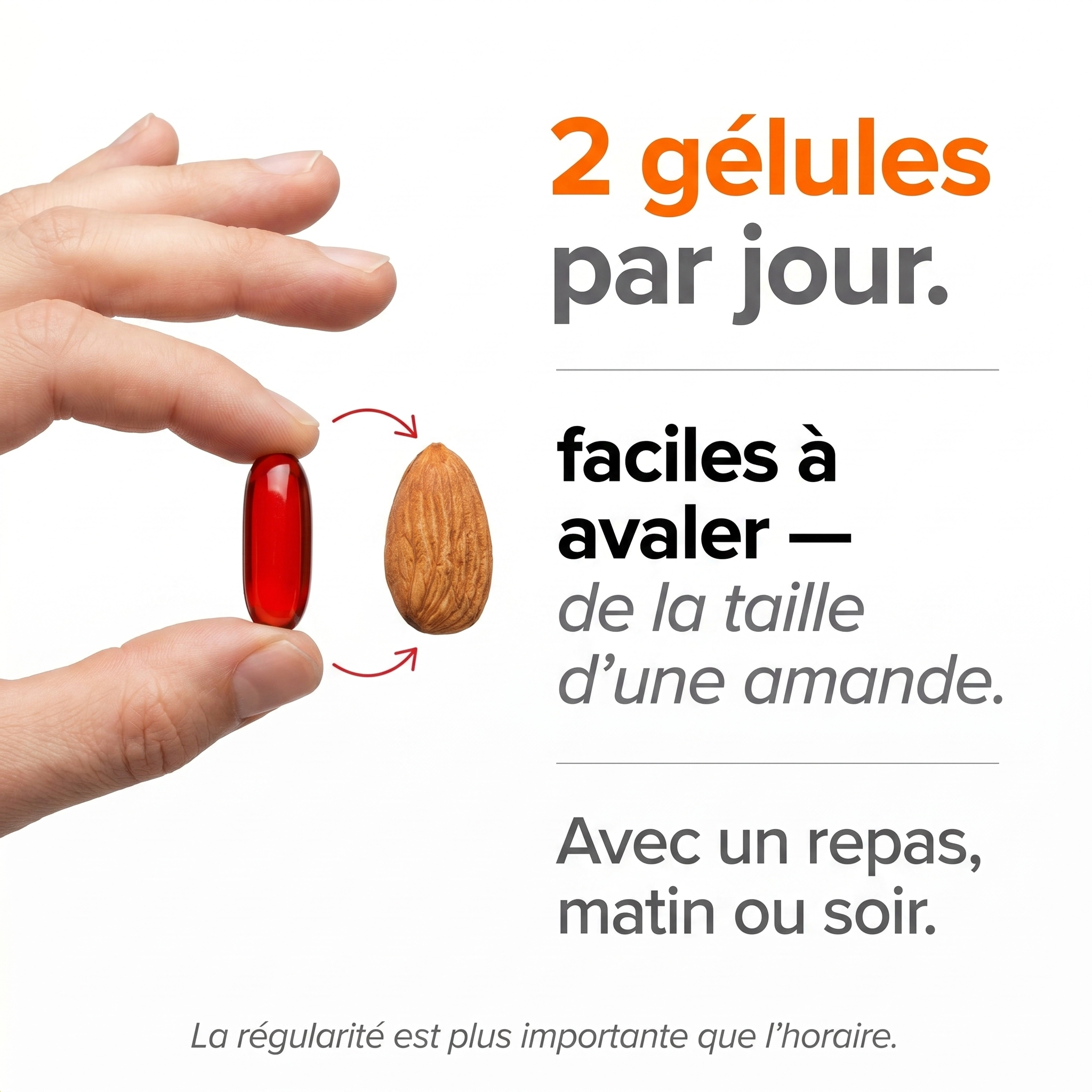 Pépins de Courge Softgels — Anti-DHT Naturel