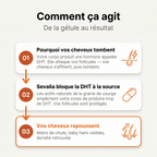 Pépins de Courge Softgels — Anti-DHT Naturel