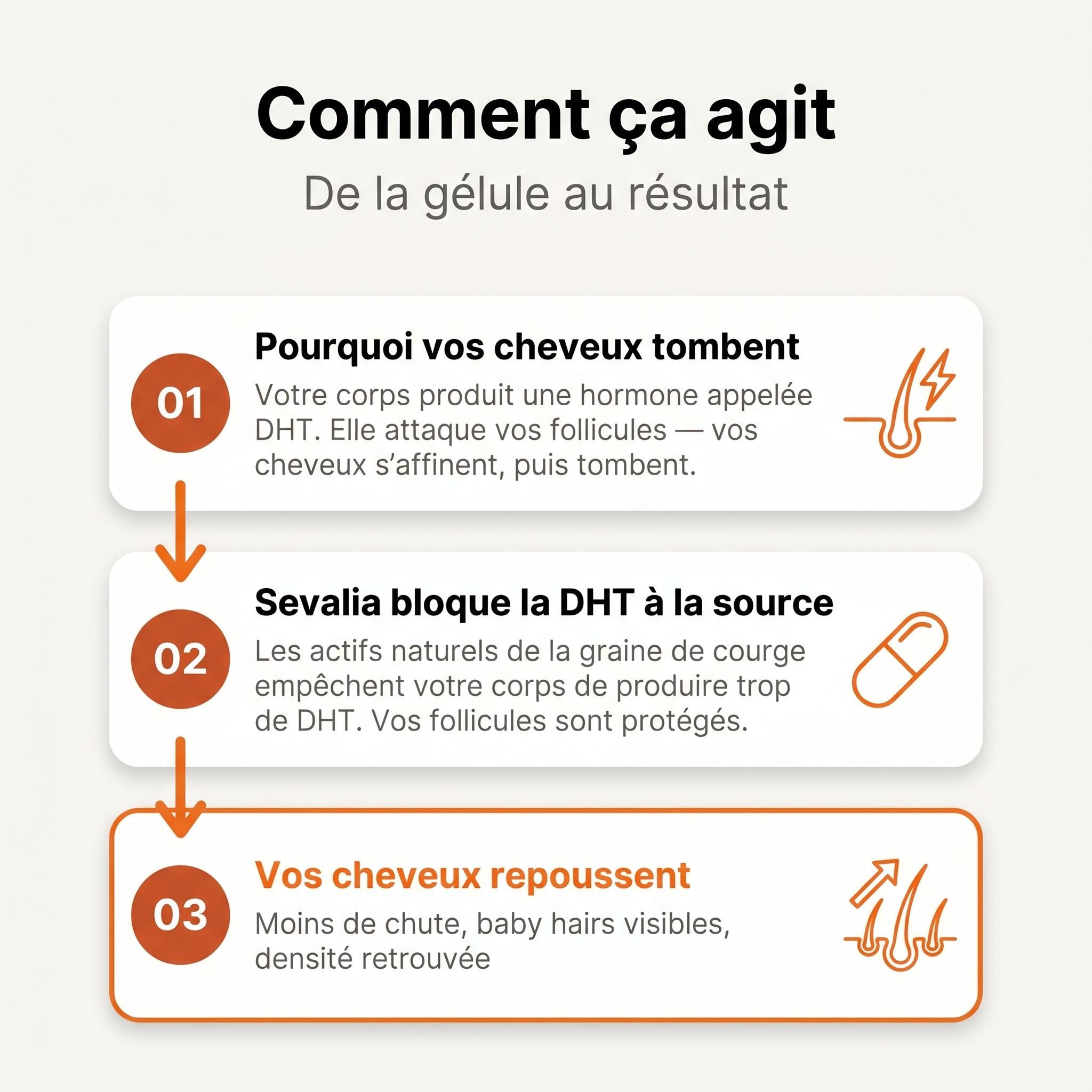 Pépins de Courge Softgels — Anti-DHT Naturel